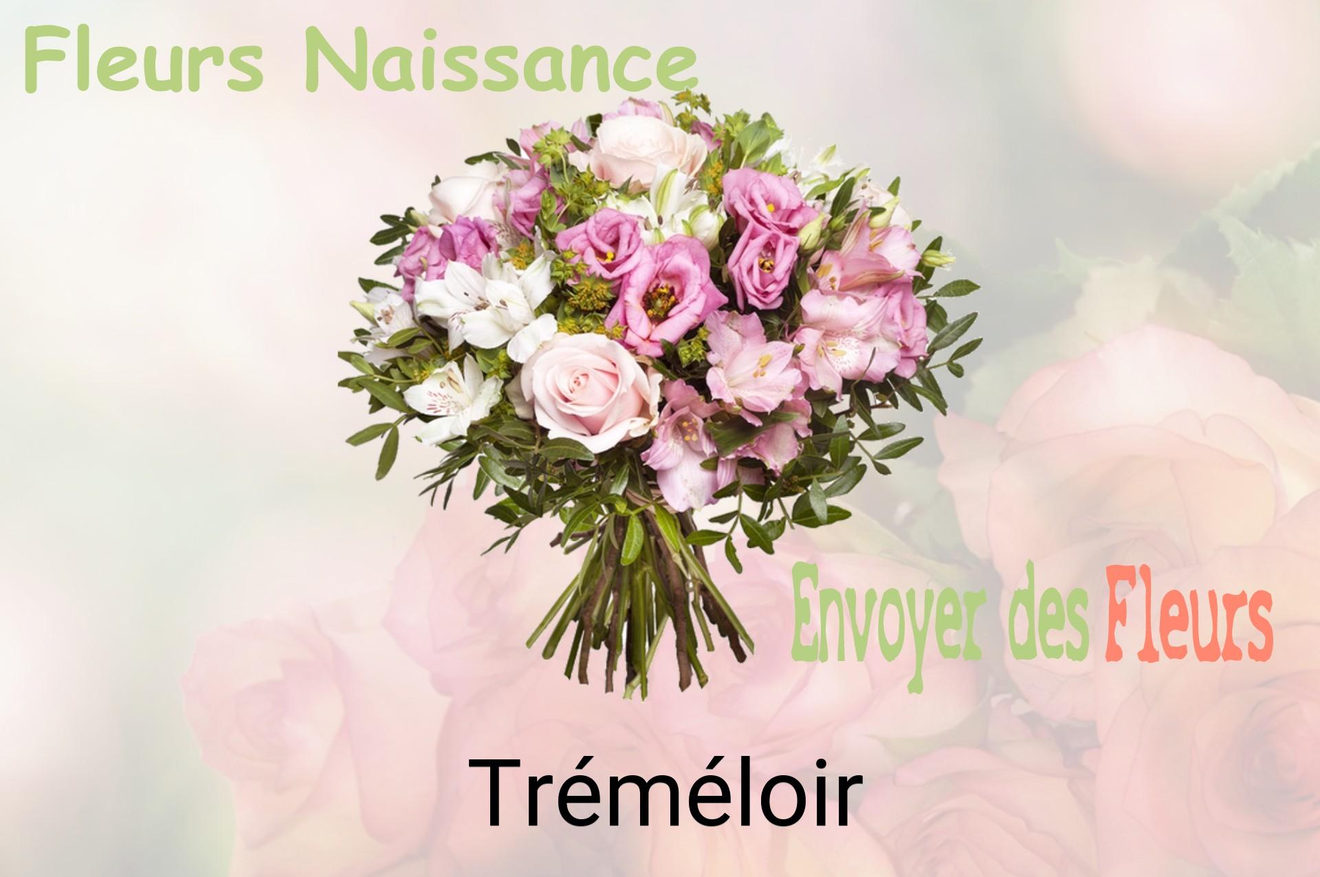 Bouquet de fleurs de naissance livré à Tréméloir