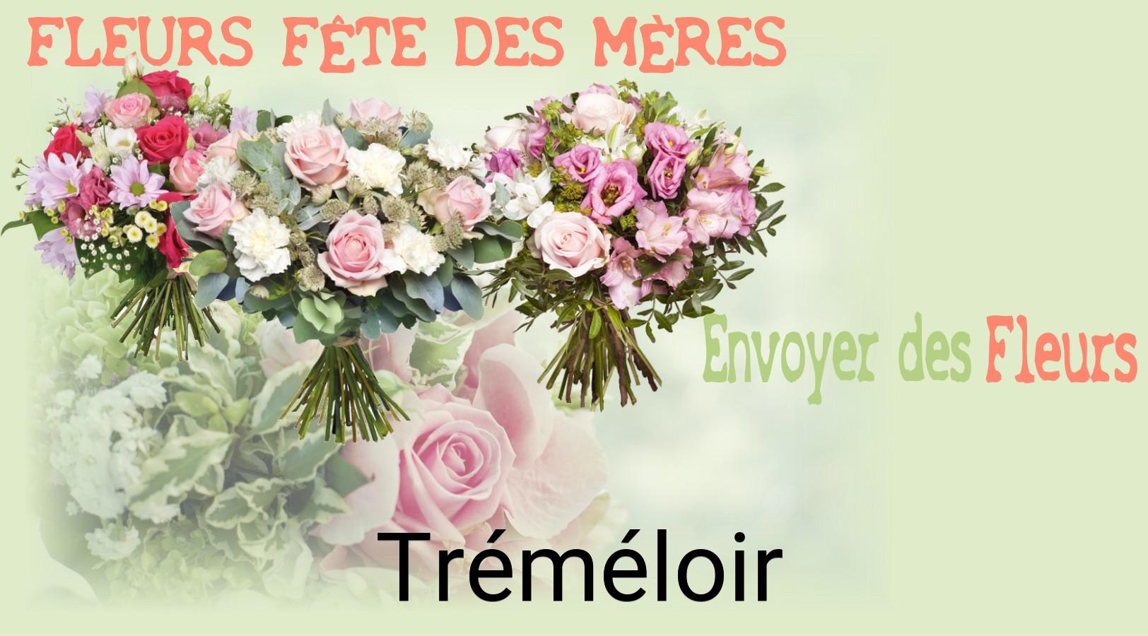 Bouquet de Fête des Mères livré à Tréméloir